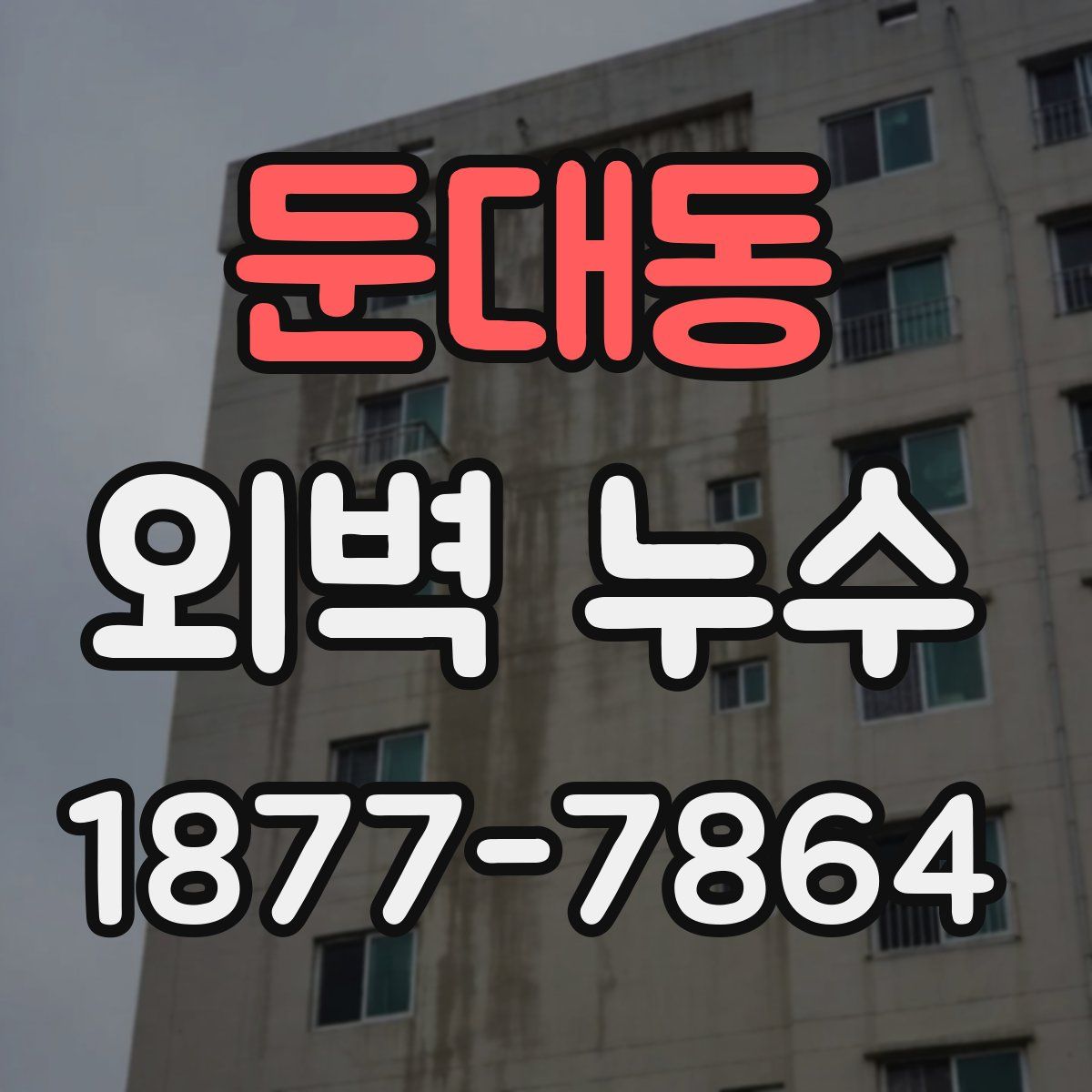둔대동 외벽 누수