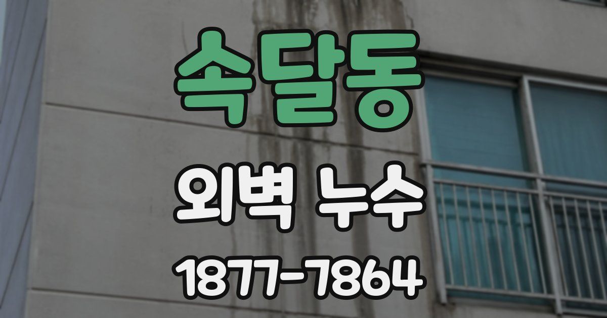 속달동 외벽 누수