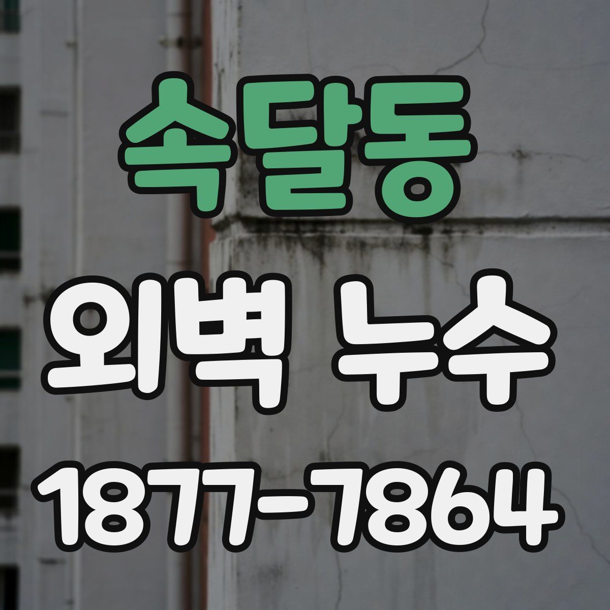 속달동 외벽 누수