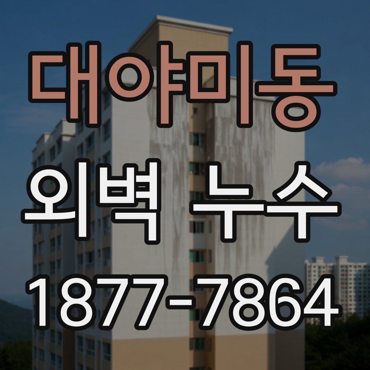 대야미동 외벽 누수