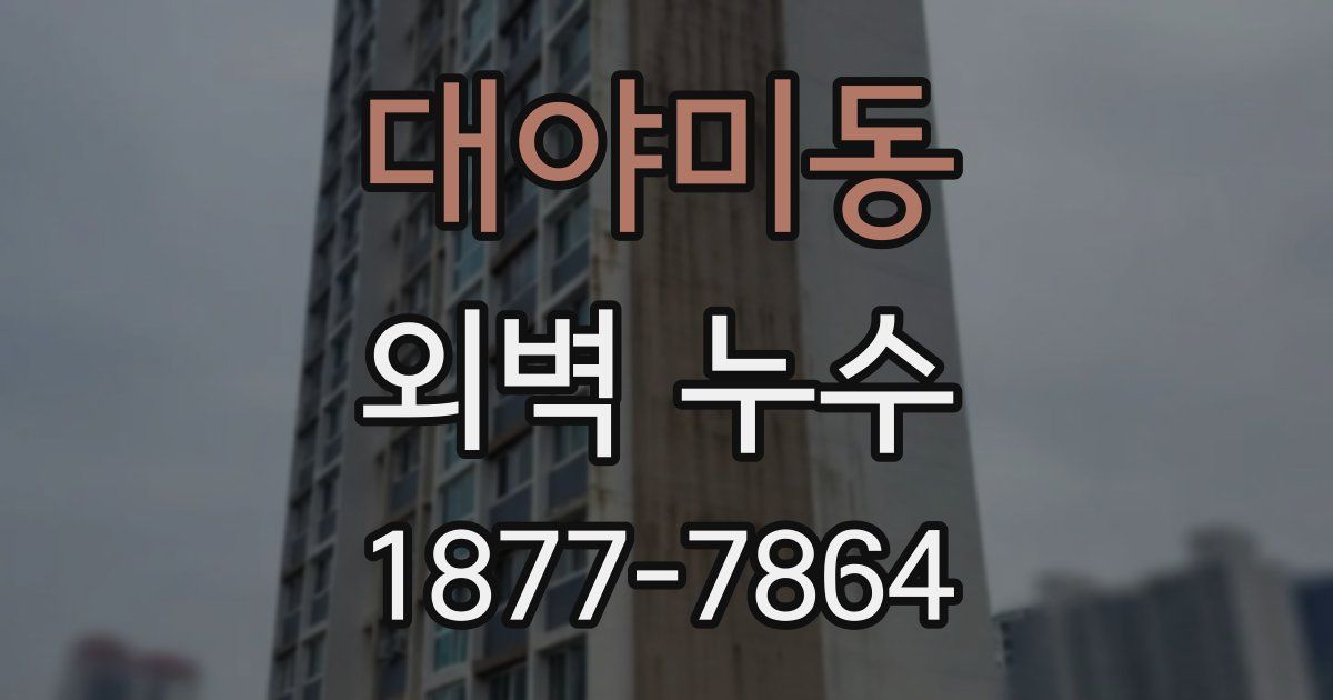 대야미동 외벽 누수