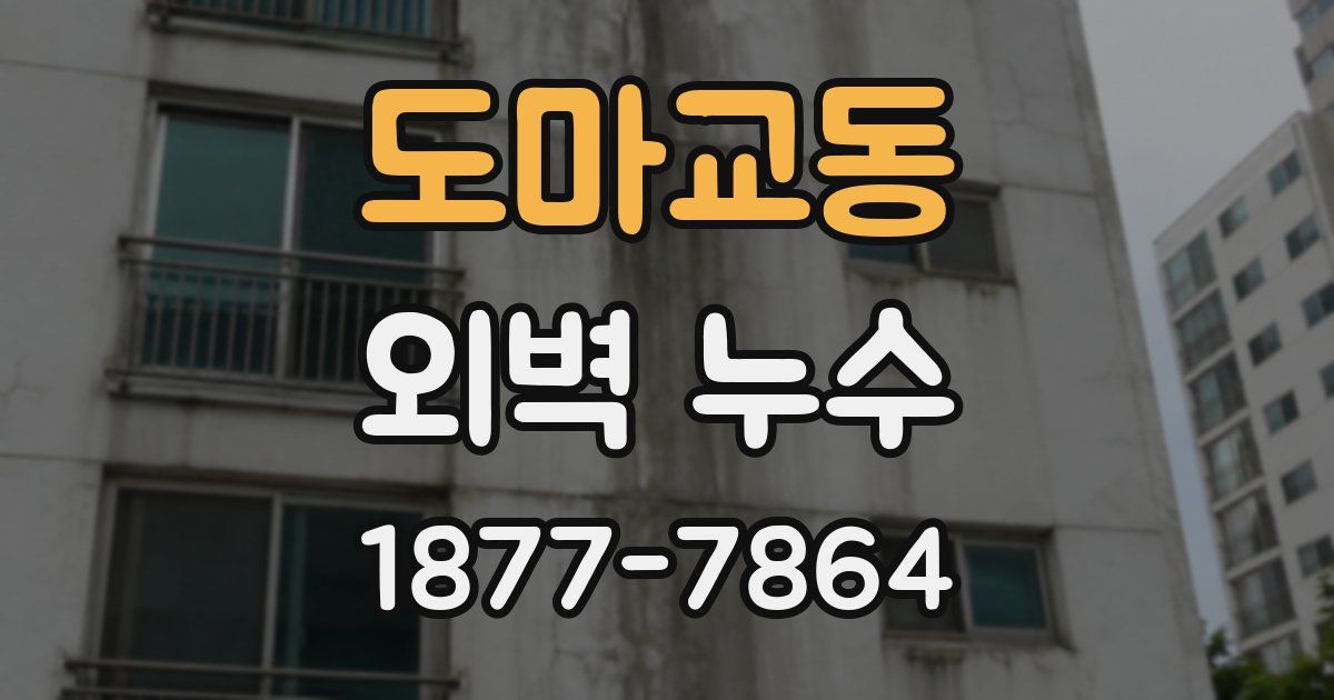 도마교동 외벽 누수
