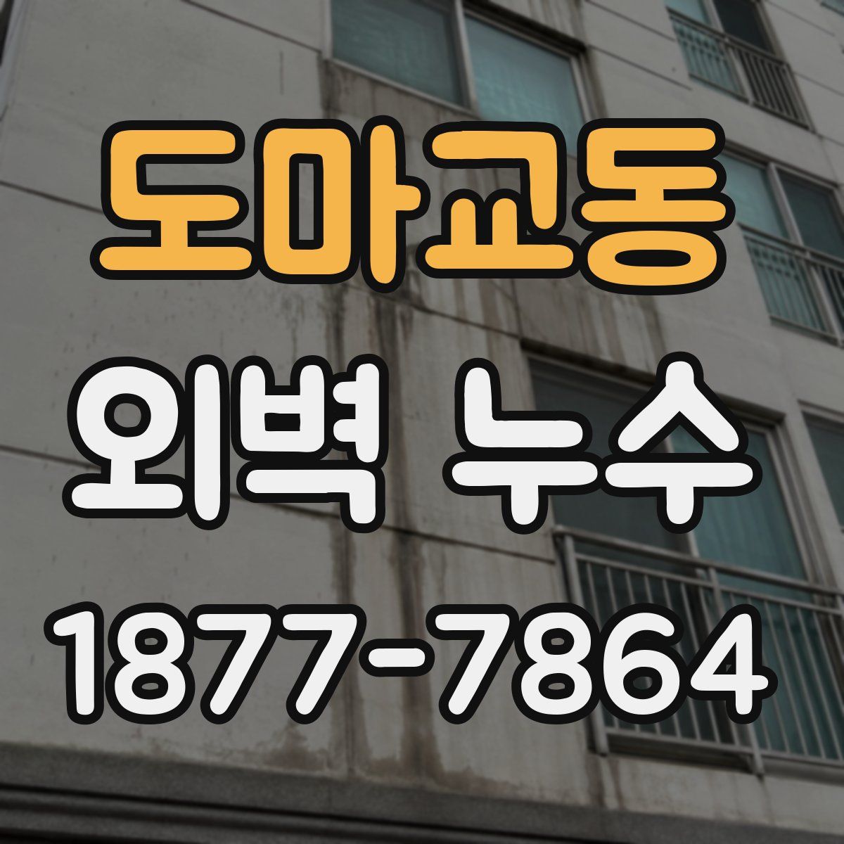 도마교동 외벽 누수