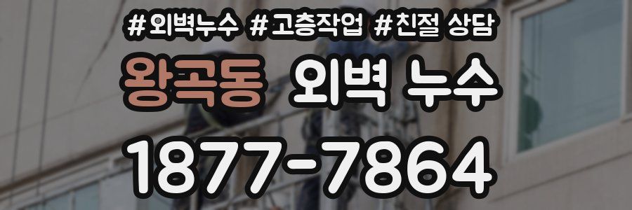왕곡동 외벽 누수
