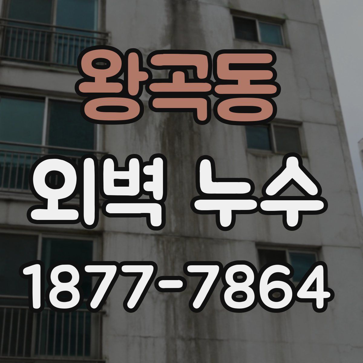 왕곡동 외벽 누수