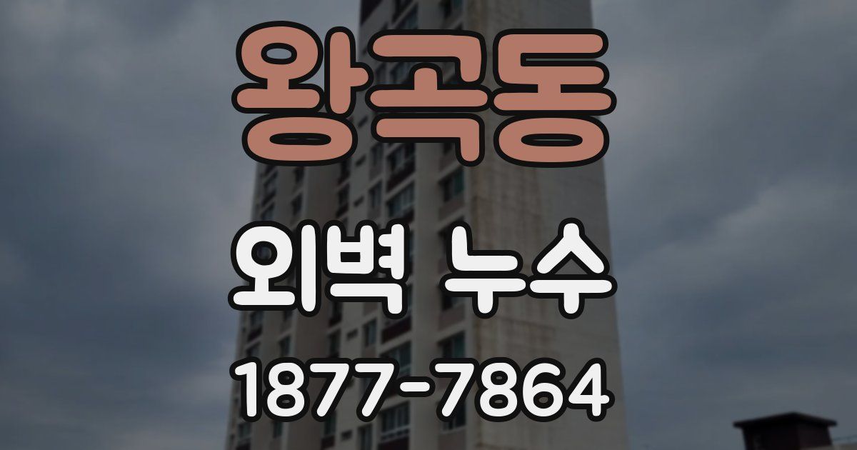 왕곡동 외벽 누수
