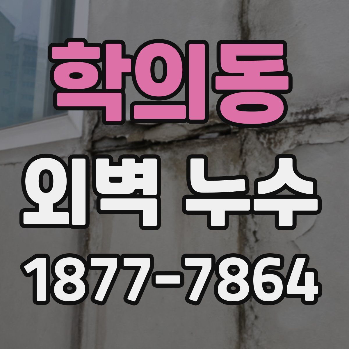 학의동 외벽 누수