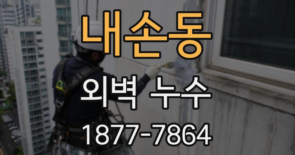 내손동 외벽 누수