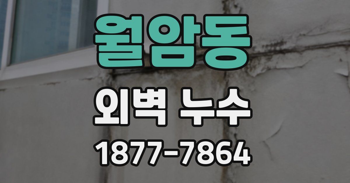 월암동 외벽 누수