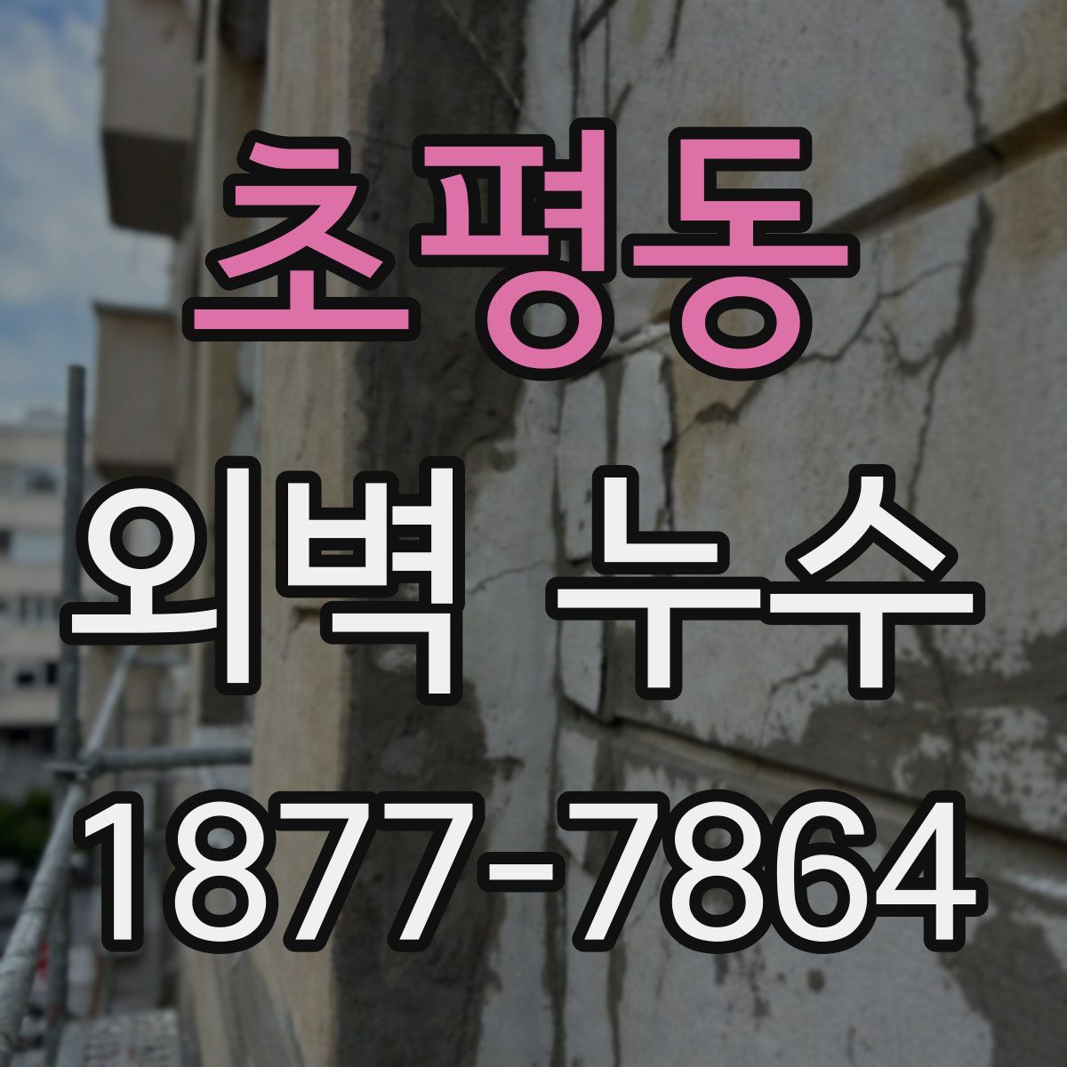 초평동 외벽 누수