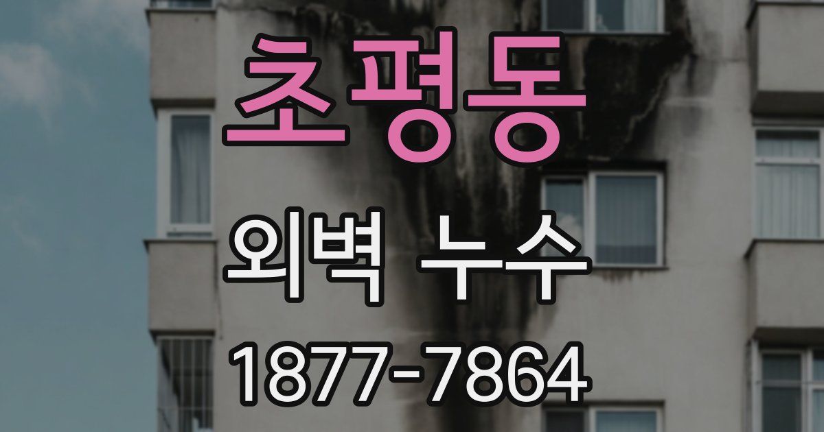 초평동 외벽 누수