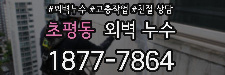 초평동 외벽 누수