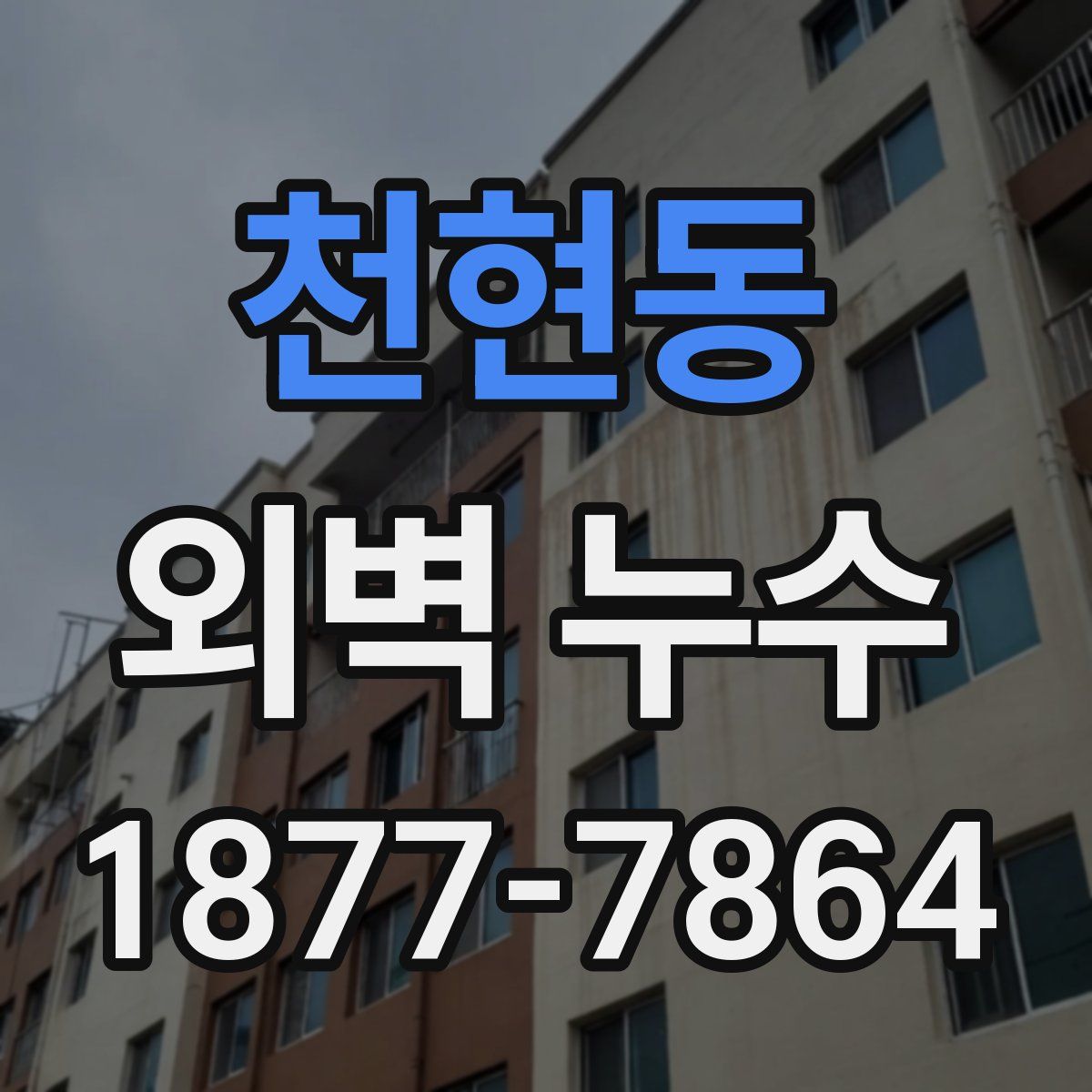 천현동 외벽 누수