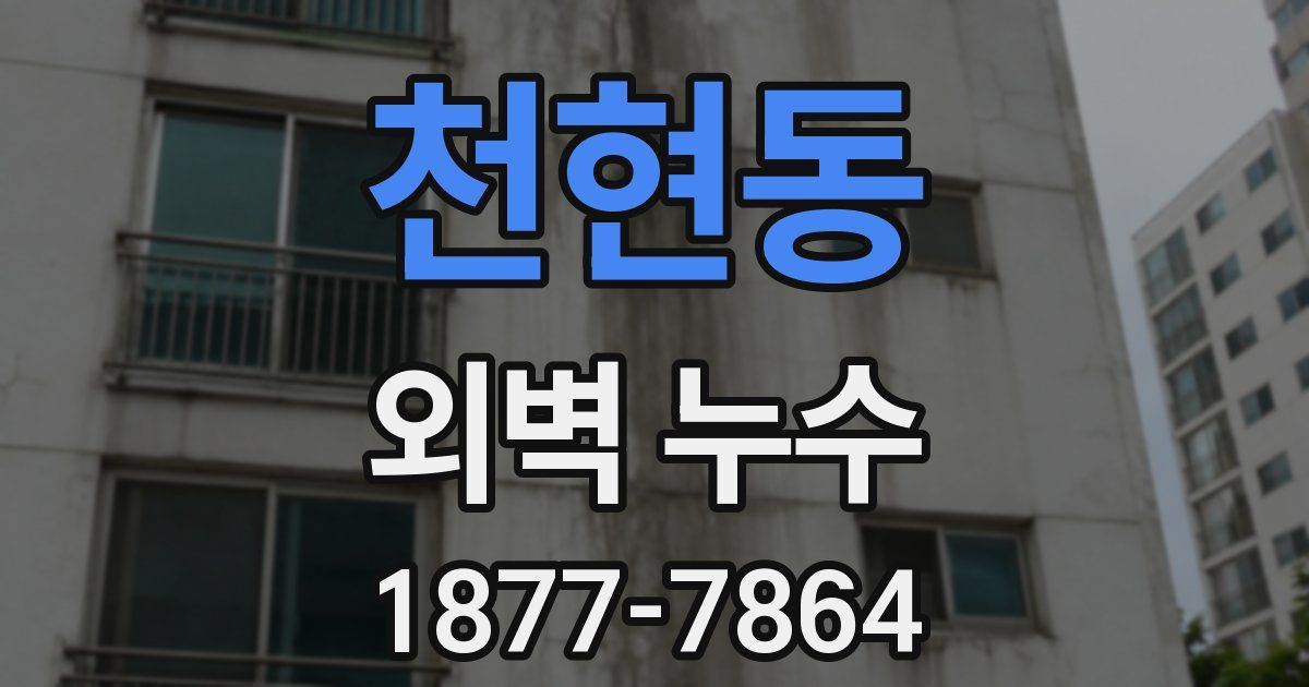 천현동 외벽 누수
