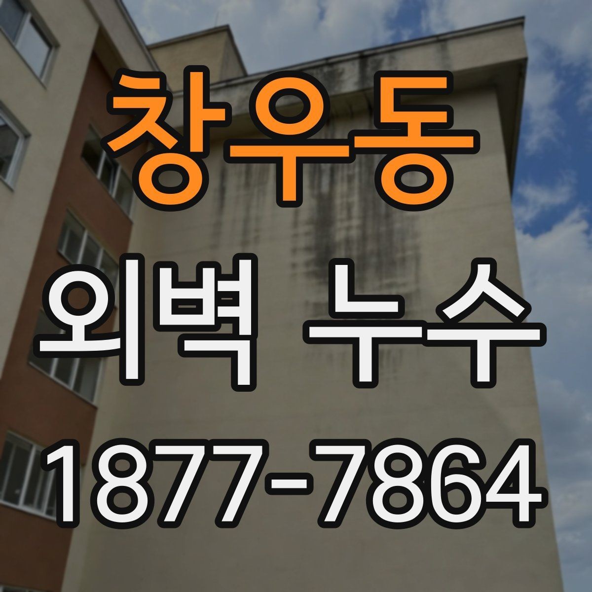 창우동 외벽 누수 발생 후 보수 범위 결정 기준
