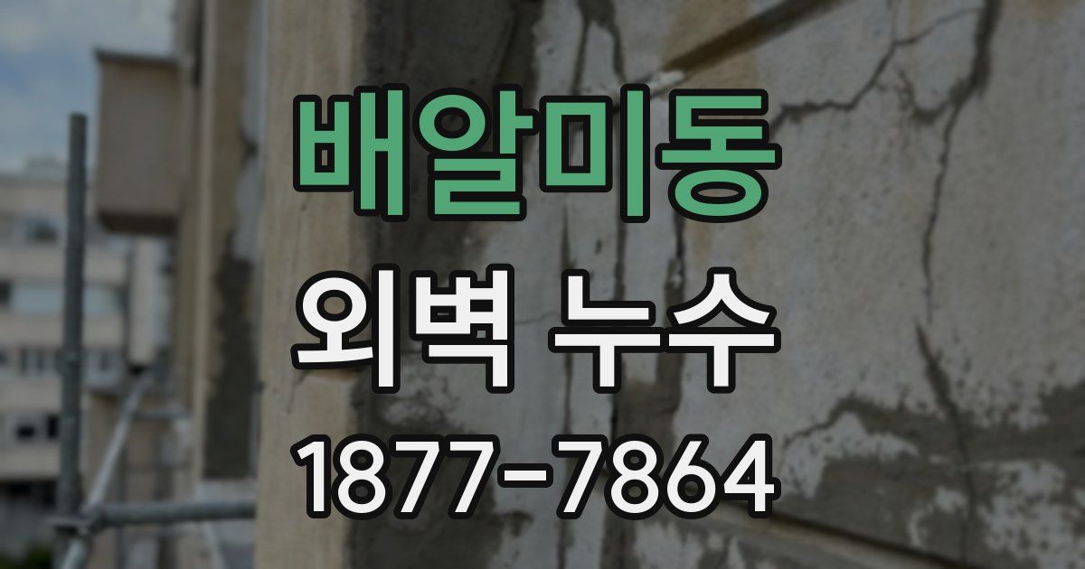 배알미동 외벽 누수