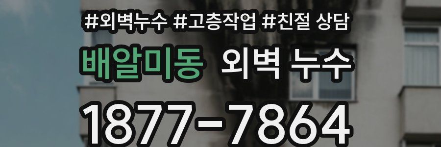 배알미동 외벽 누수