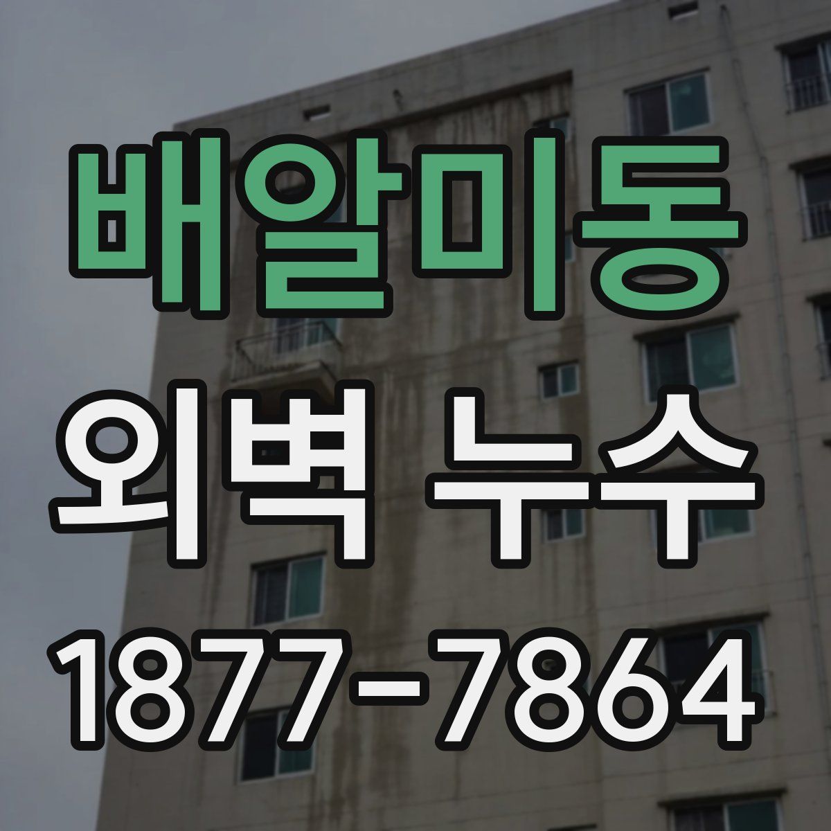 배알미동 외벽 누수