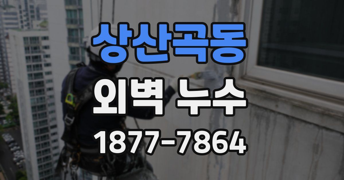 상산곡동 외벽 누수