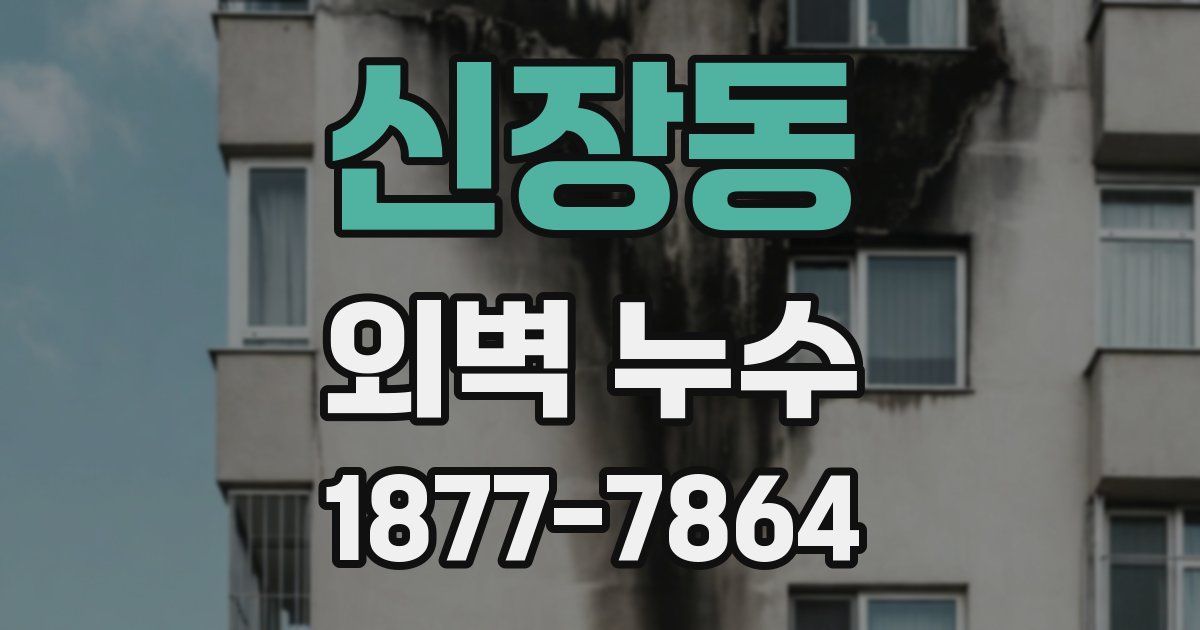 신장동 외벽 누수
