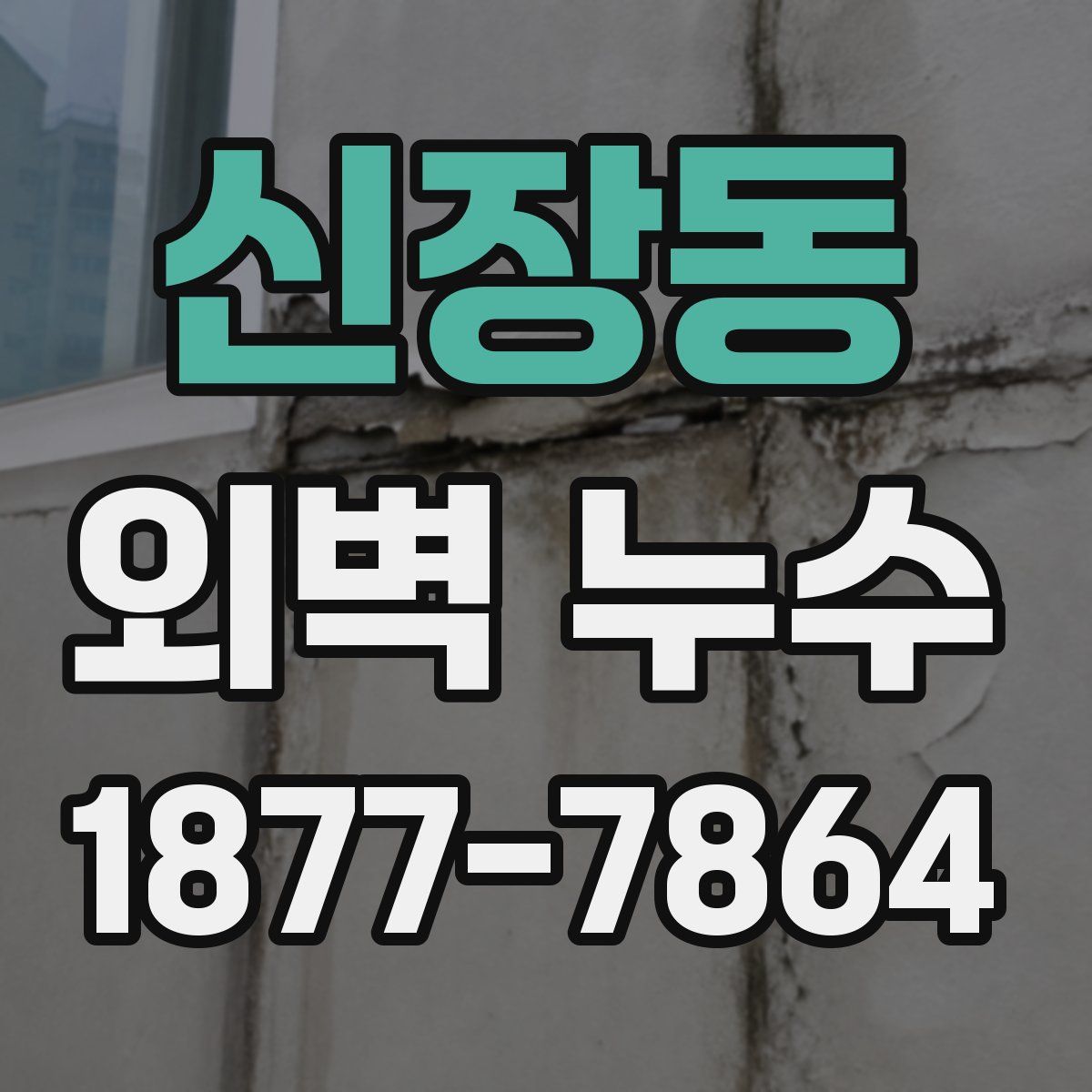 신장동 외벽 누수