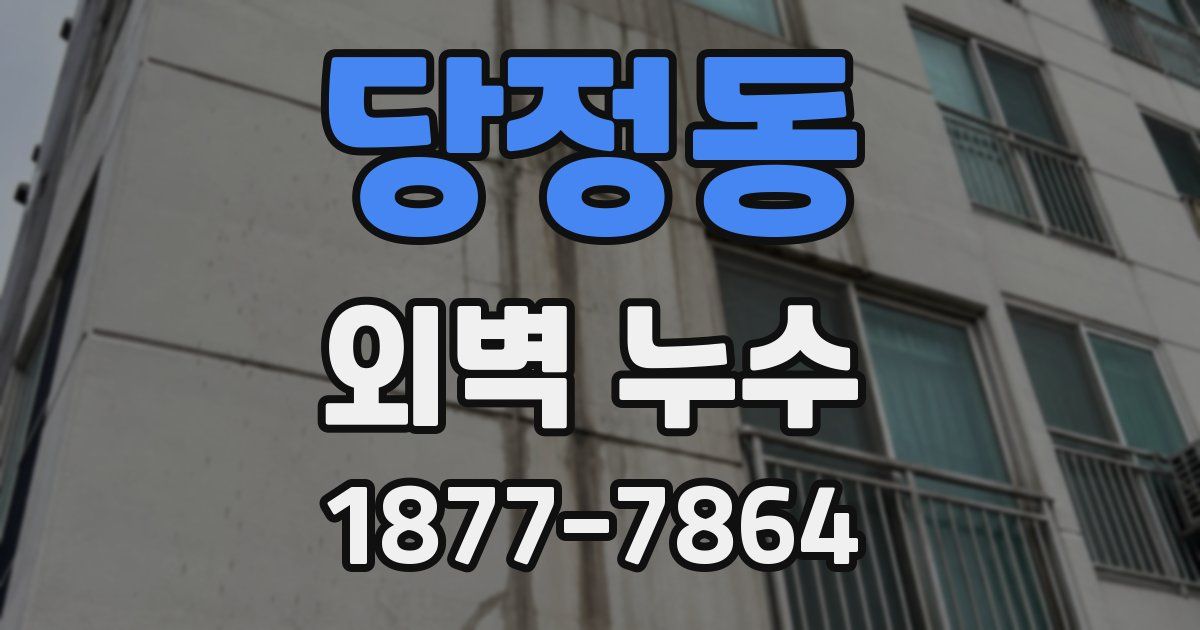 당정동 외벽 누수