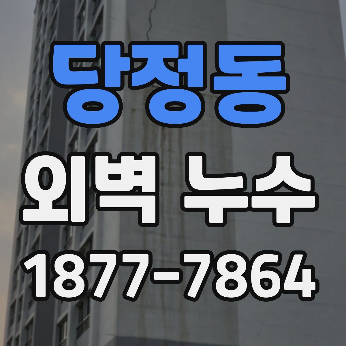 당정동 외벽 누수