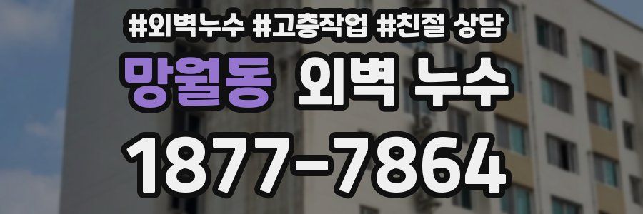 망월동 외벽 누수