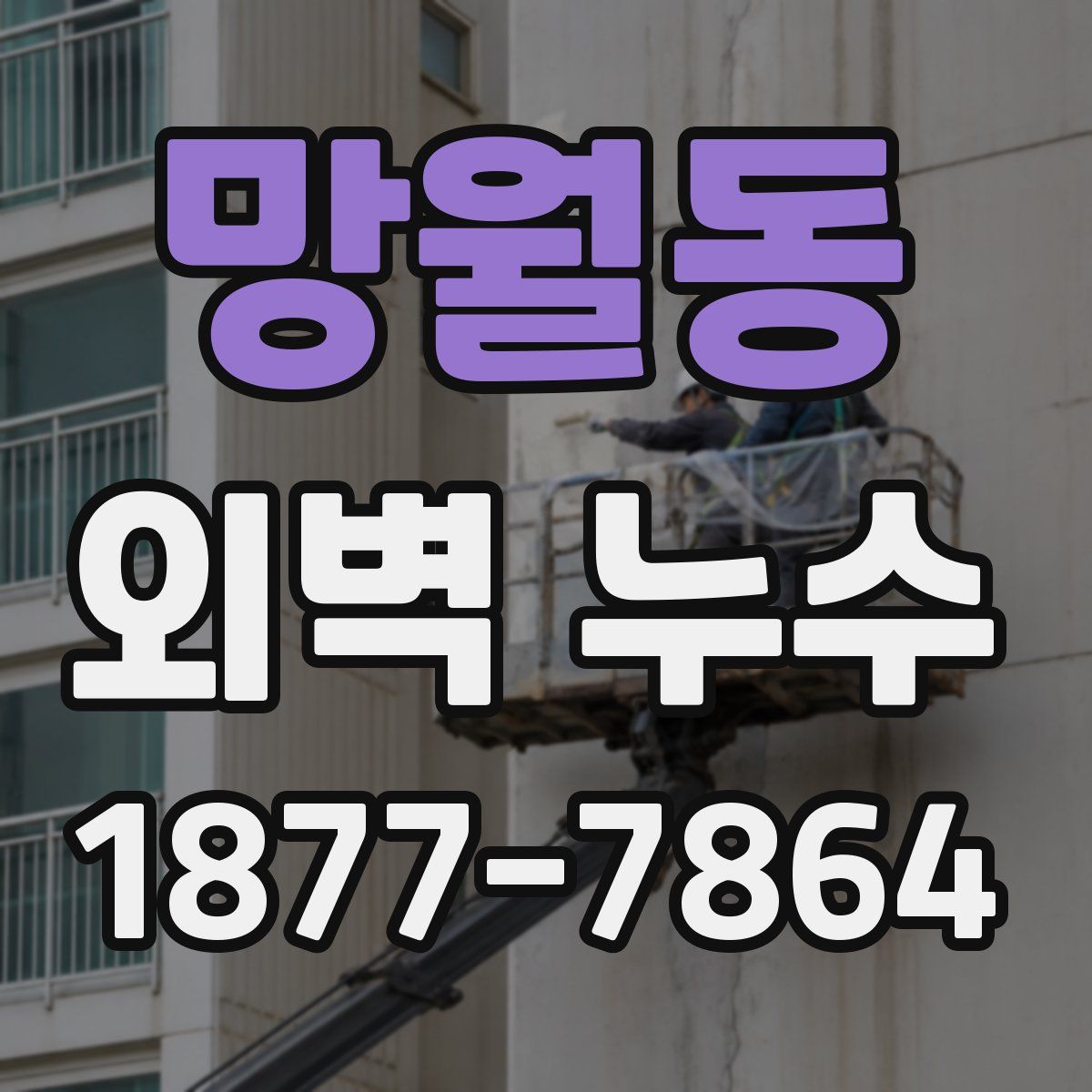 망월동 외벽 누수
