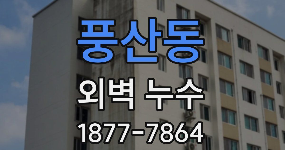 풍산동 외벽 누수