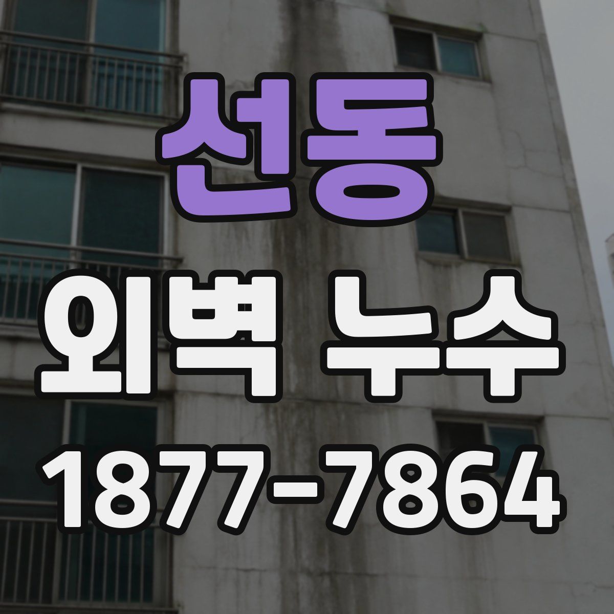 선동 외벽 누수