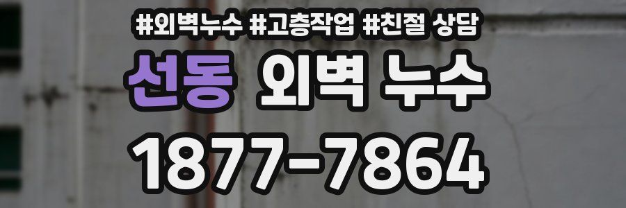 선동 외벽 누수