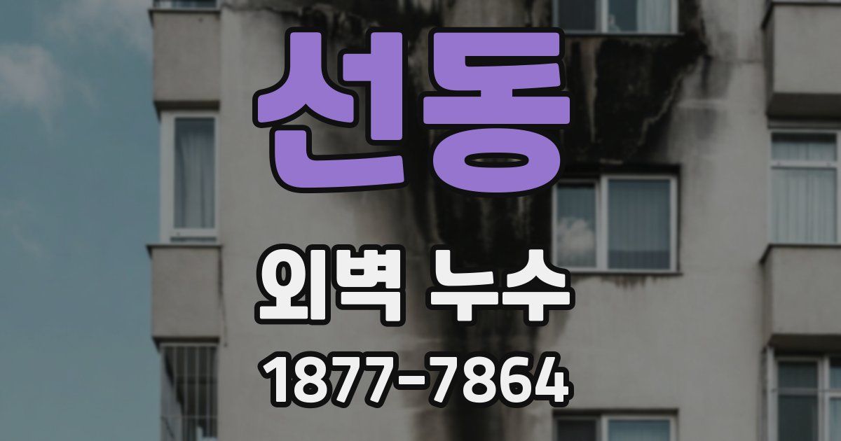 선동 외벽 누수