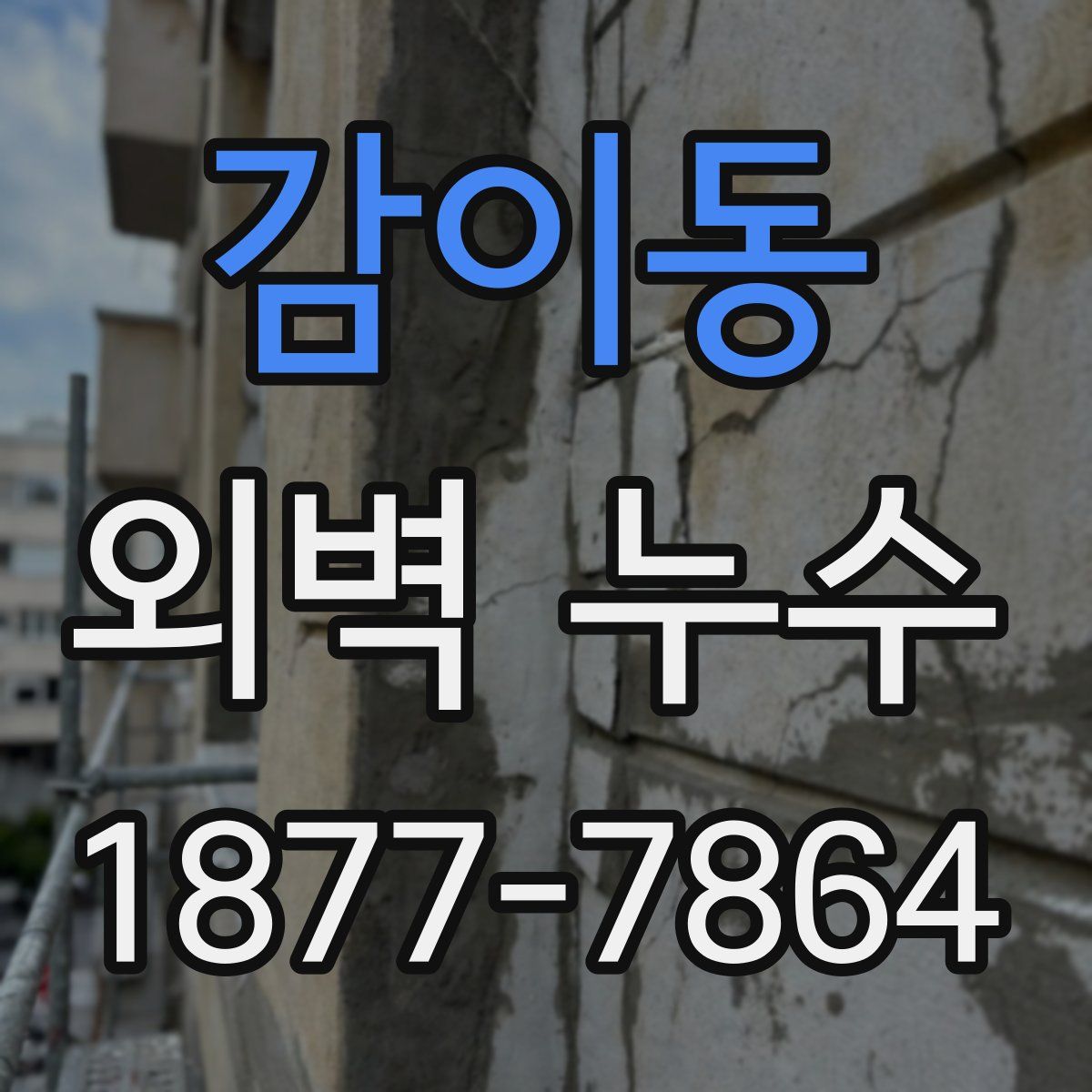 감이동 외벽 누수