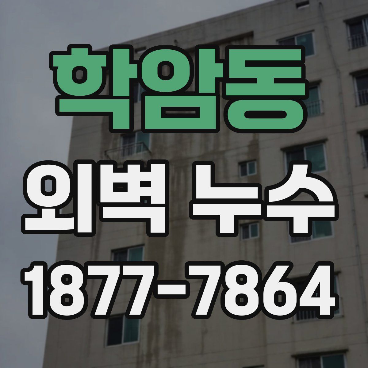 학암동 외벽 누수