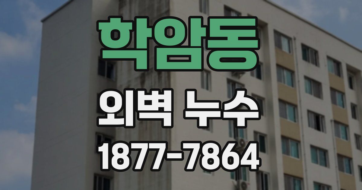 학암동 외벽 누수
