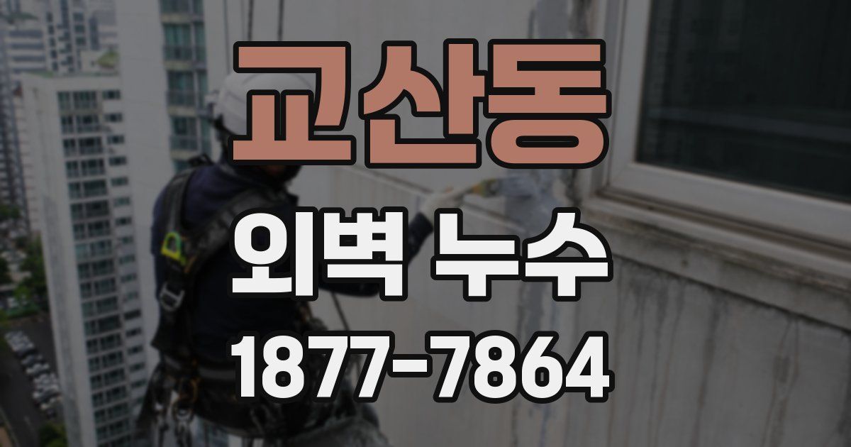 교산동 외벽 누수
