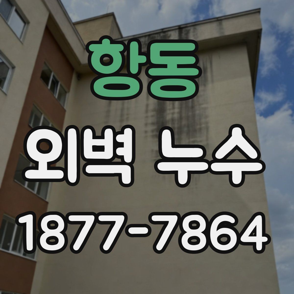 항동 외벽 누수 보수 범위를 정할 때 주의할 점