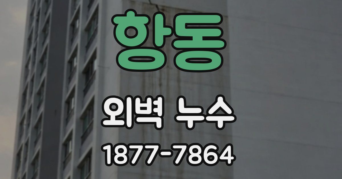 항동 외벽 누수