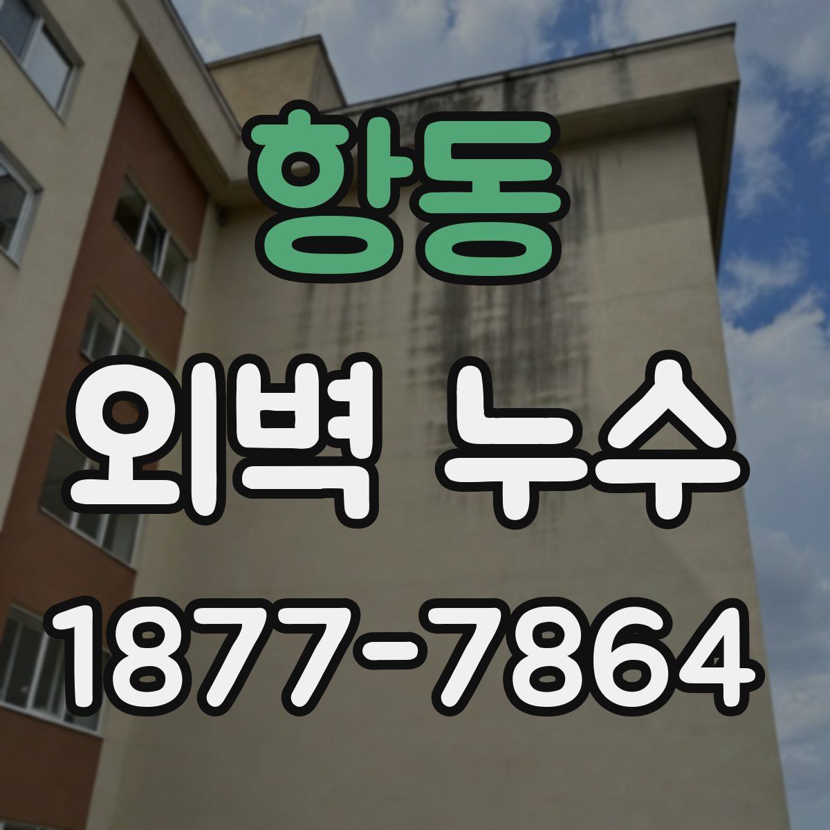항동 외벽 누수