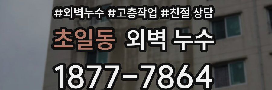 초일동 외벽 누수