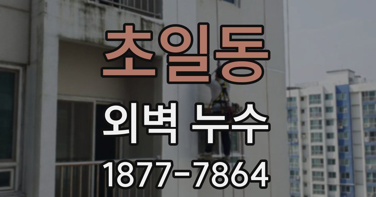 초일동 외벽 누수