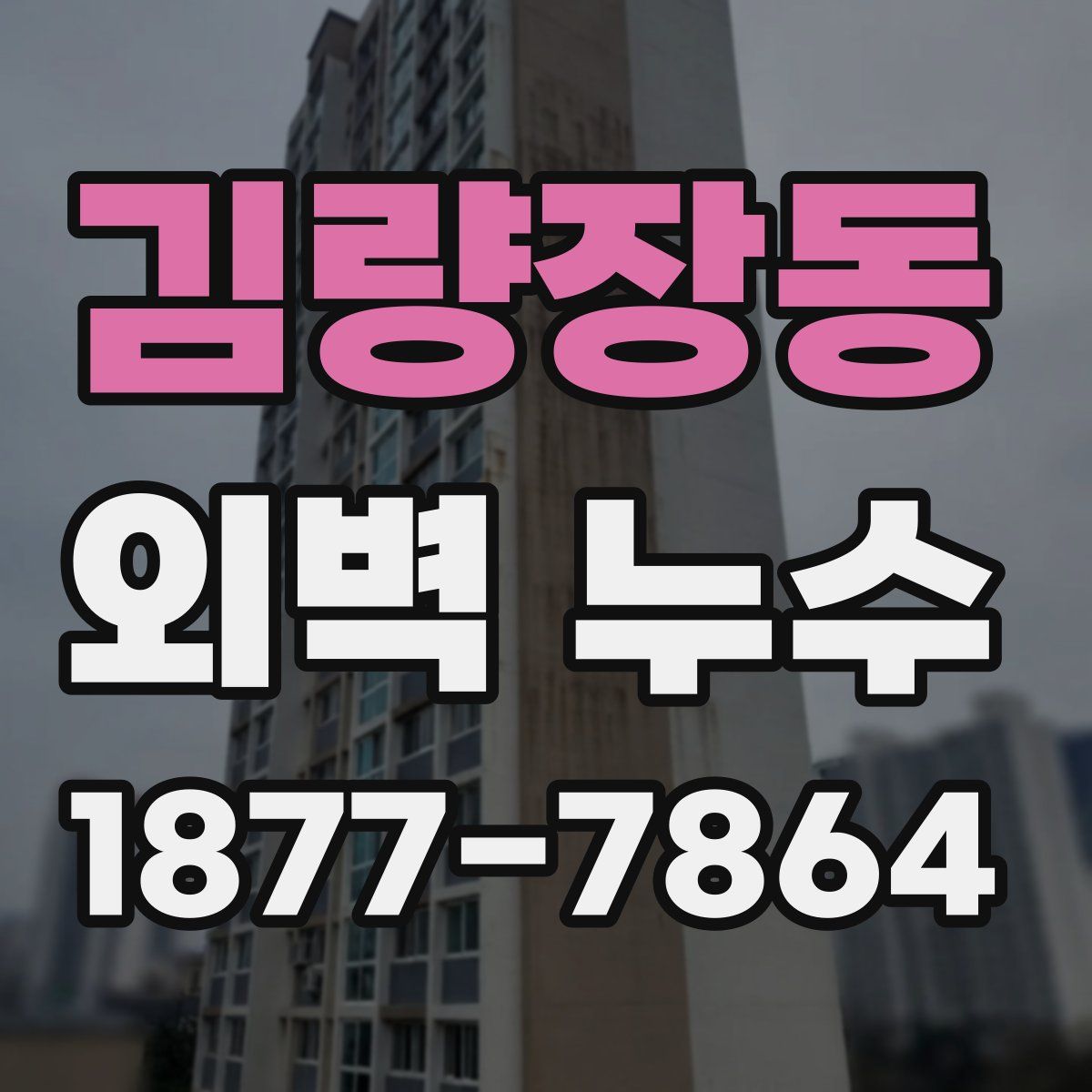 김량장동 외벽 누수