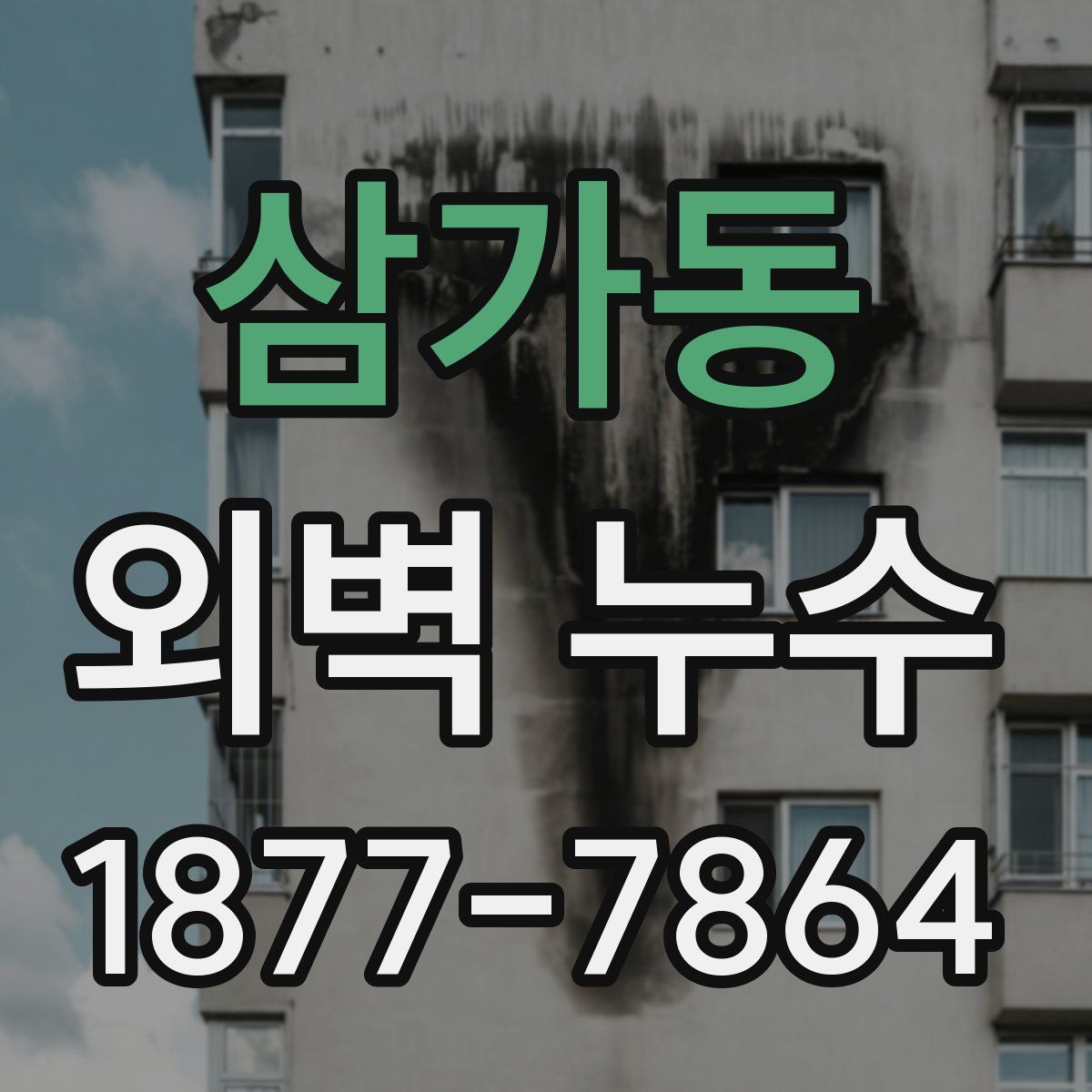 삼가동 외벽 누수