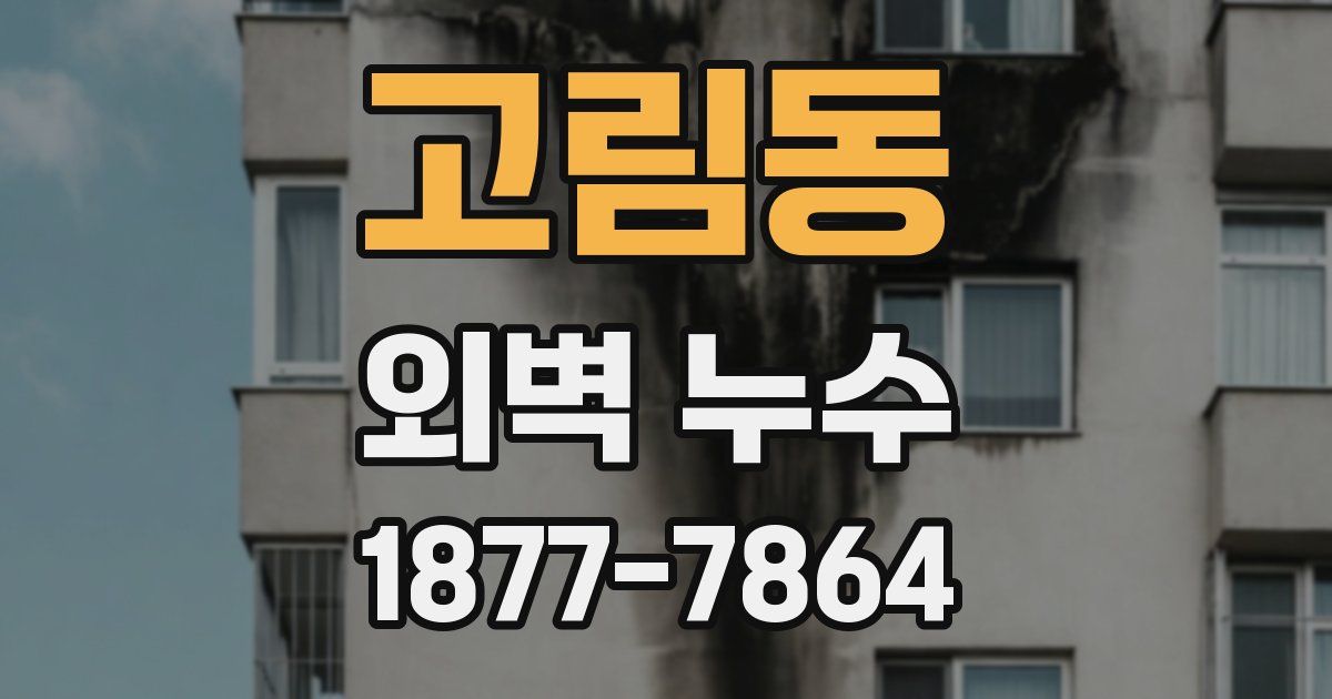 고림동 외벽 누수