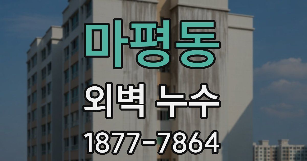 마평동 외벽 누수
