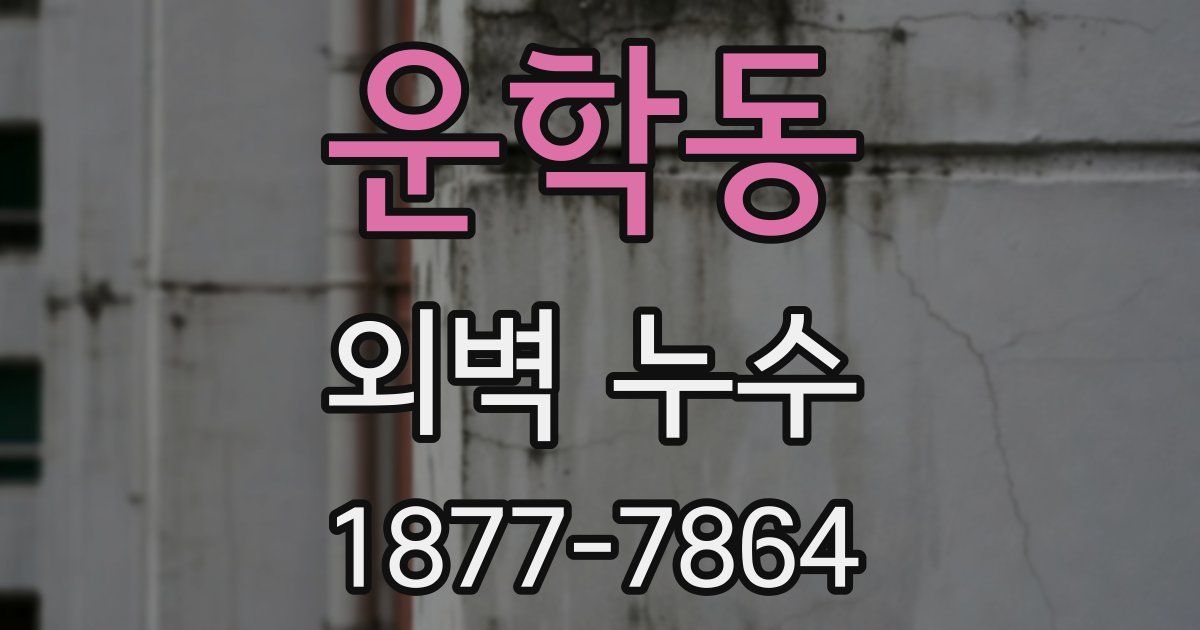 운학동 외벽 누수