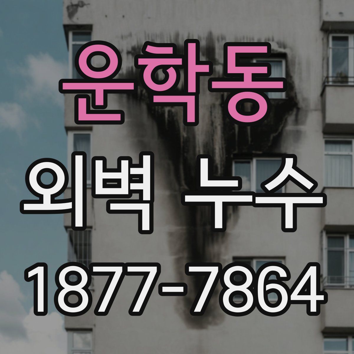 운학동 외벽 누수