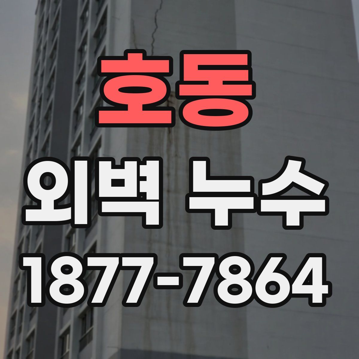 호동 외벽 누수