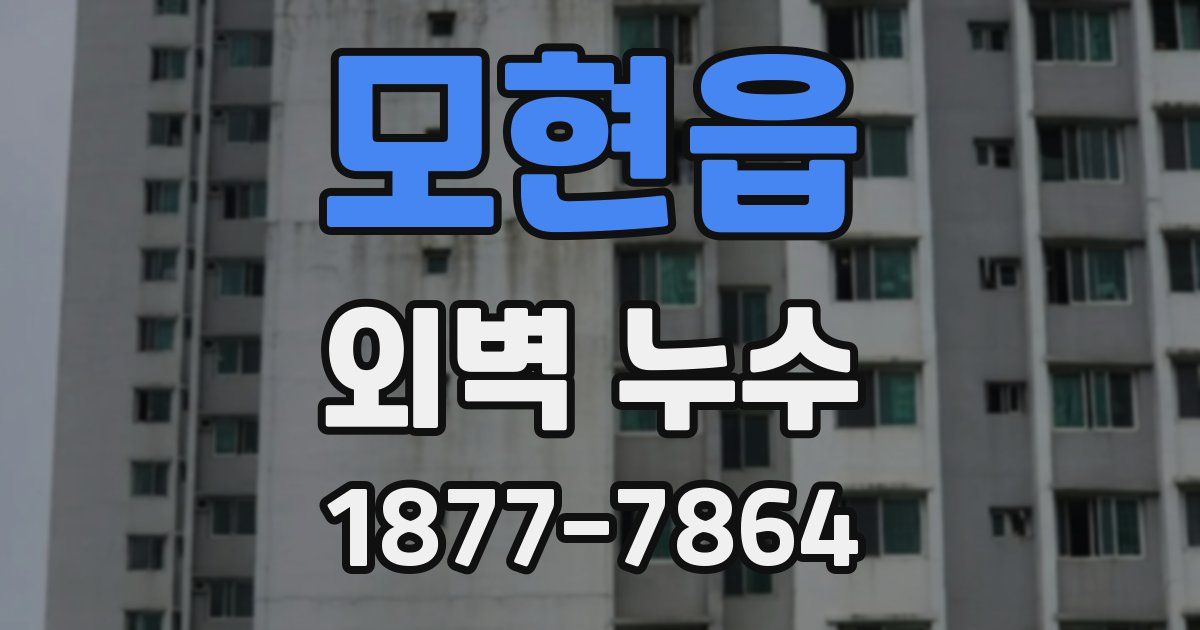 모현읍 외벽 누수